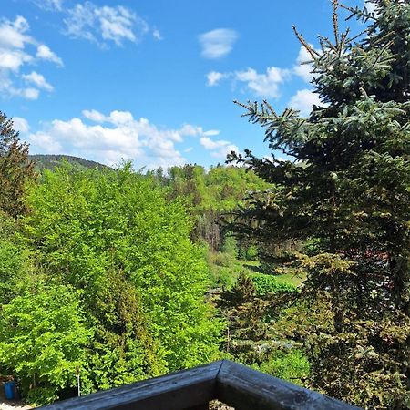 Апартаменти Haus Westharz Goslar Бад-Ґрунд Екстер'єр фото