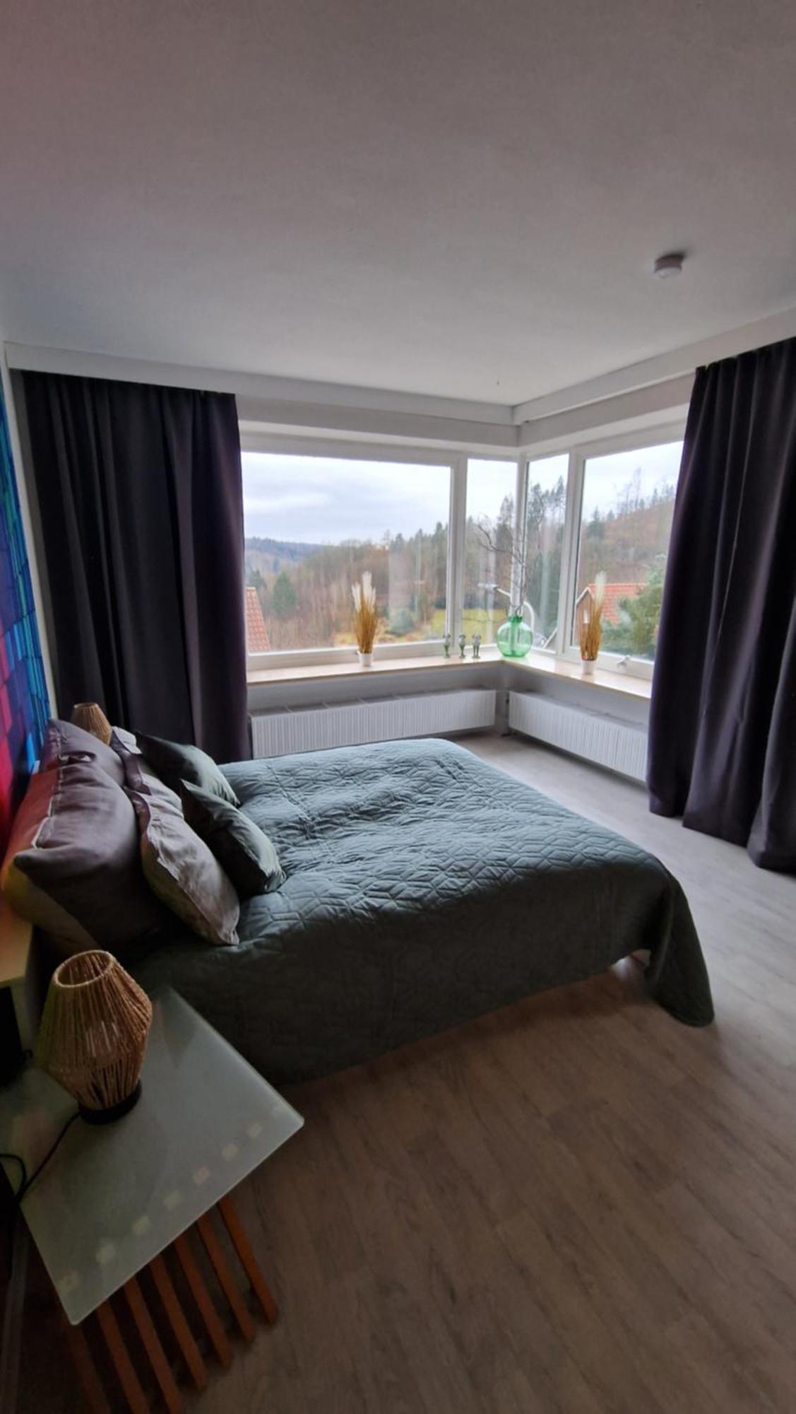 Апартаменти Haus Westharz Goslar Бад-Ґрунд Екстер'єр фото